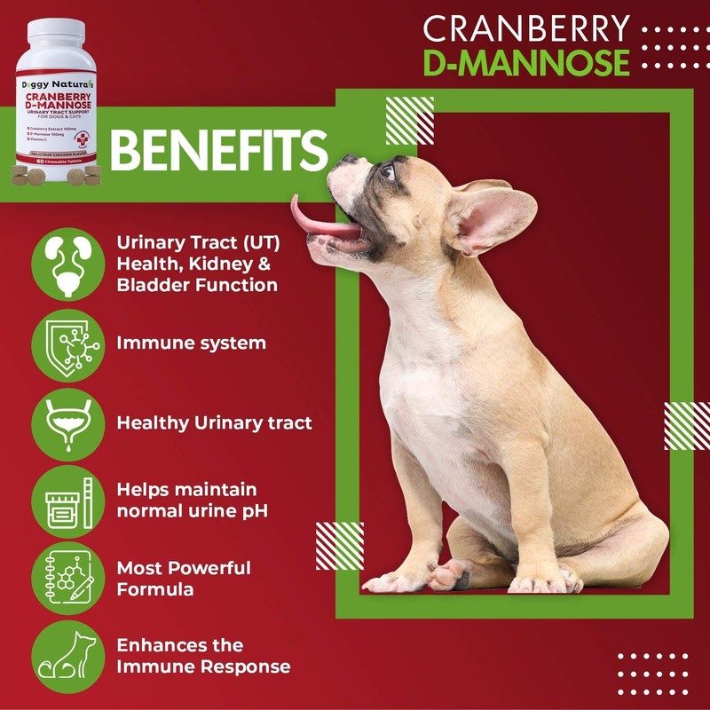 Cranberry D-Mannose for Dogs and Cats Urinary Tract Infection Support Prevent... gallery