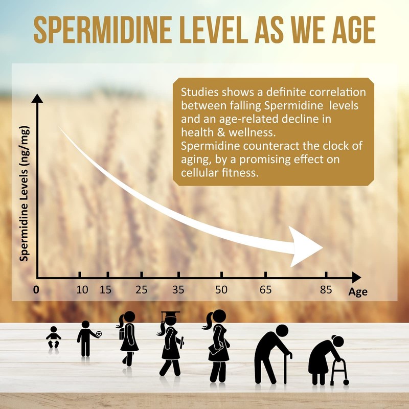 Thalacy Spermidine Supplements 13mg - 1300mg Wheat Germ Extract Capsules Pote... gallery