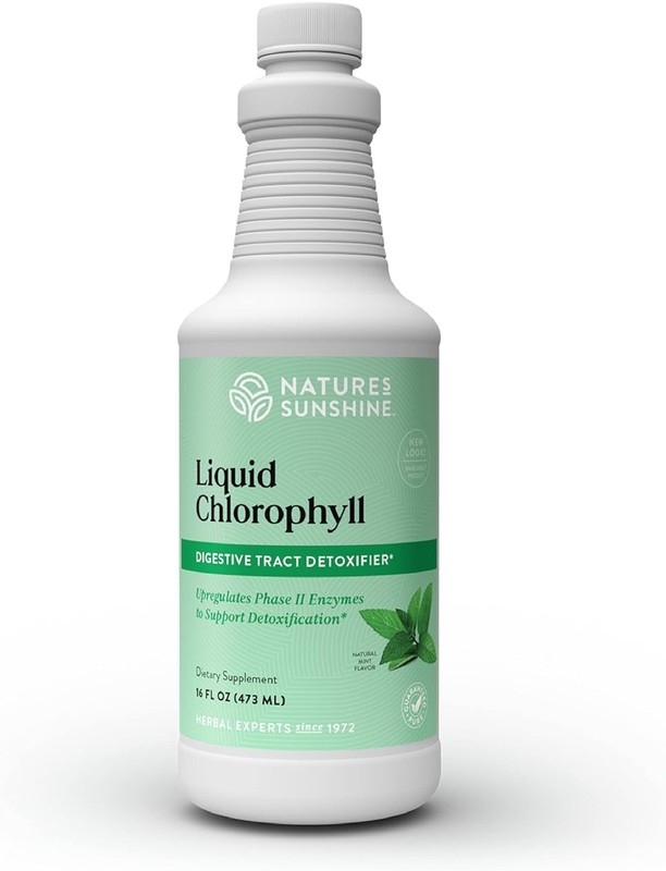 Nature’s Sunshine Liquid Chlorophyll – Immunity Support, 16 Fl Oz (Pack of 1)