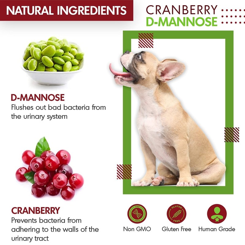Cranberry D-Mannose for Dogs and Cats Urinary Tract Infection Support Prevent... gallery