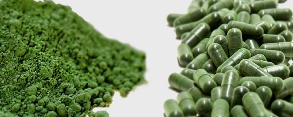 Brain Power Capsules - Blue Green Algae 500mg - Spirulina Vitamins 2B gallery