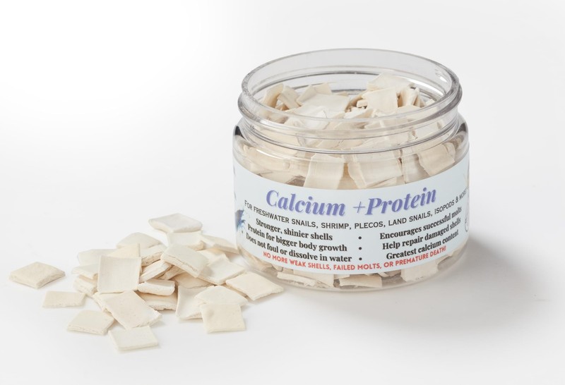 Calcium + Protein Tablets - Great for Picky Eaters - Snails, Shrimp, Bottom D... gallery