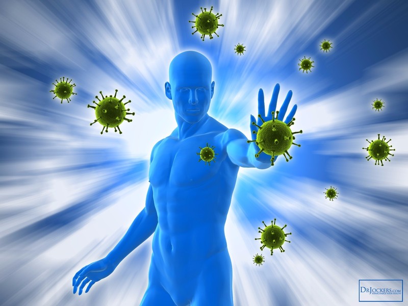 Brain Power Capsules - Blue Green Algae 500mg - Spirulina Vitamins 2B gallery