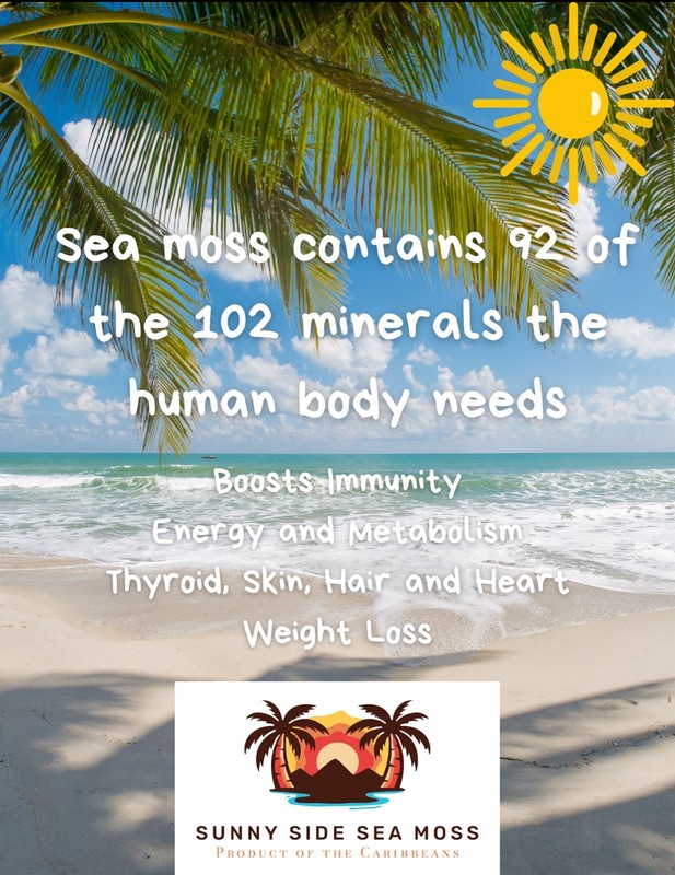 Sea Moss Gummies – Healthy Diet Organic Supplement