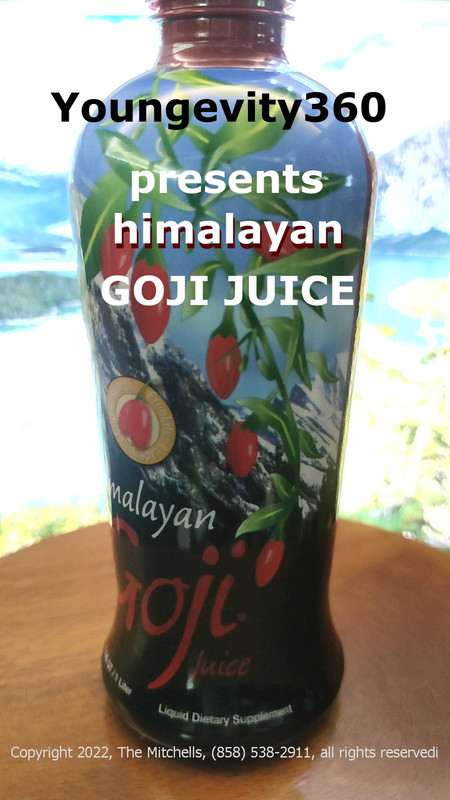 Youngevity Sandra Himalayan GoJi Juice gallery