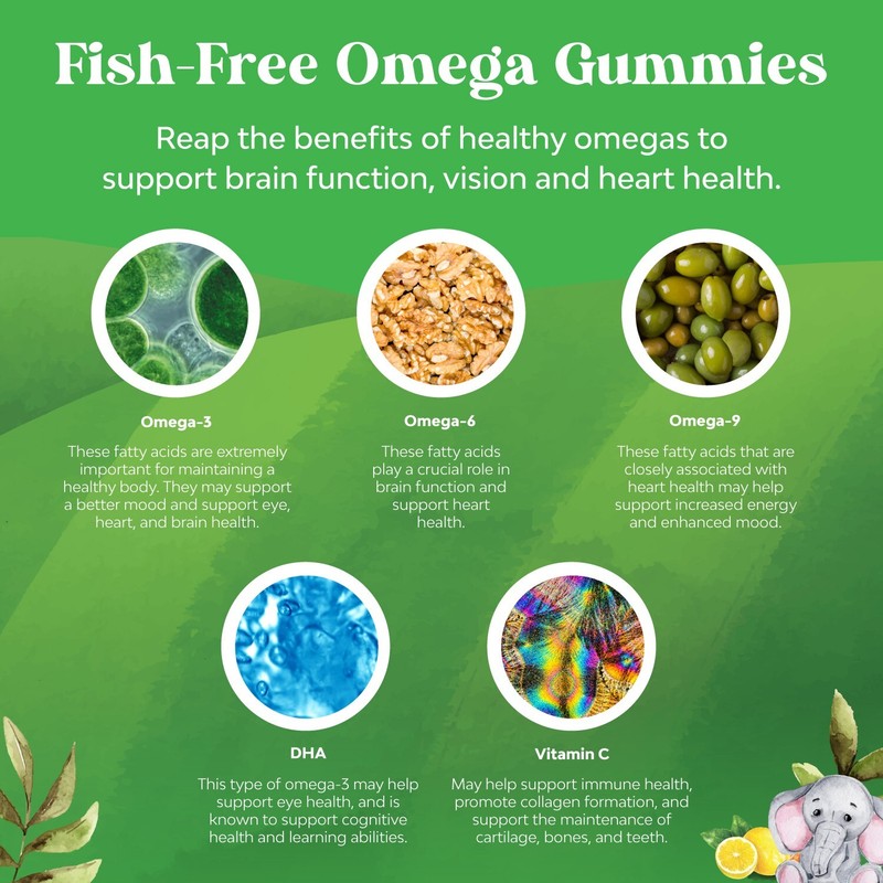 Plant Based Omega 3 Gummies for Kids - Delicious DHA for Immunity & Focus 180ct gallery