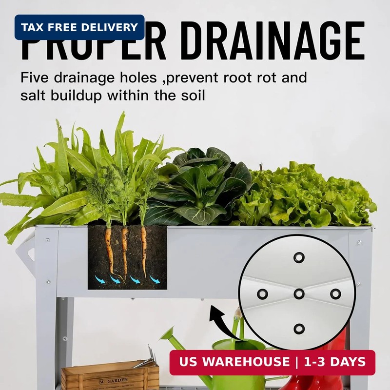 LEETOLLA 𝐑𝐚𝐢𝐬𝐞𝐝 𝐆𝐚𝐫𝐝𝐞𝐧 𝐁𝐞𝐝 𝐎𝐮𝐭𝐝𝐨𝐨𝐫 Elevate Herb Garden Pla gallery