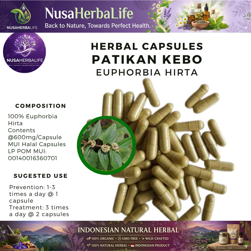 Pure 100 Capsules Patikan Kebo Leaf Euphorbia Hirta Organic Natural Wildcrafted gallery