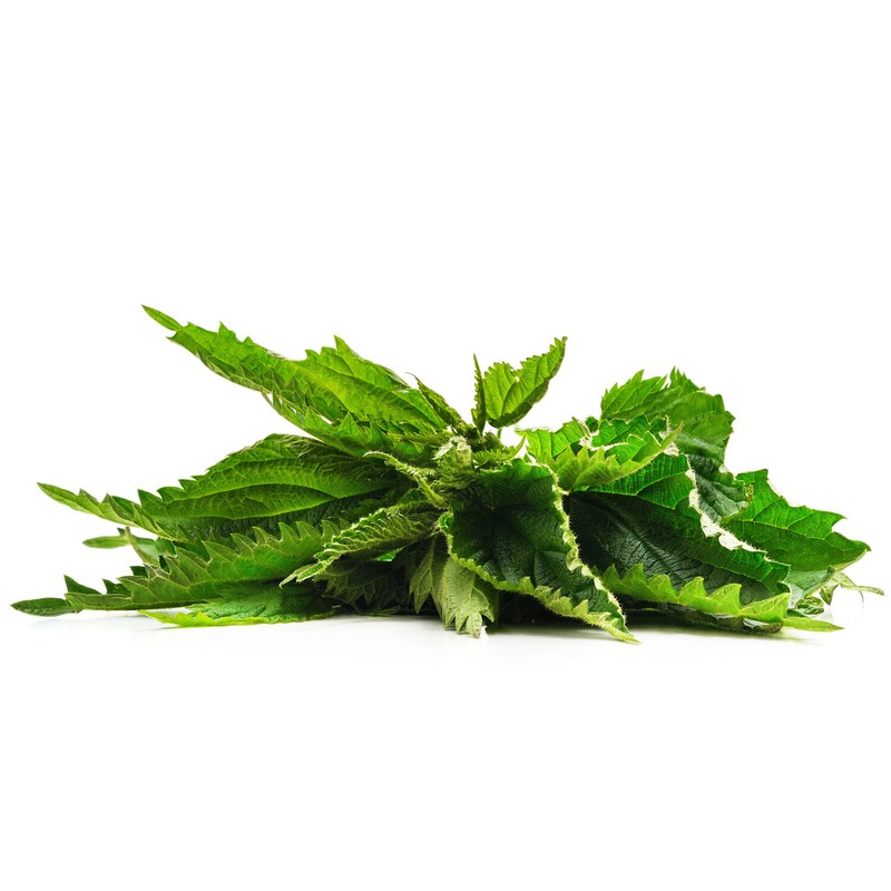 Nettle Leaf Tea Bags (30) Premium Quality, Caffeine-free Herbal Leaf Tea Bags gallery