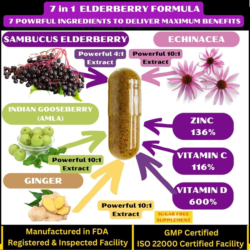 Best Elderberry with Zinc Echinacea, Vitamin C & D Ginger & Amla 90 Capsules gallery