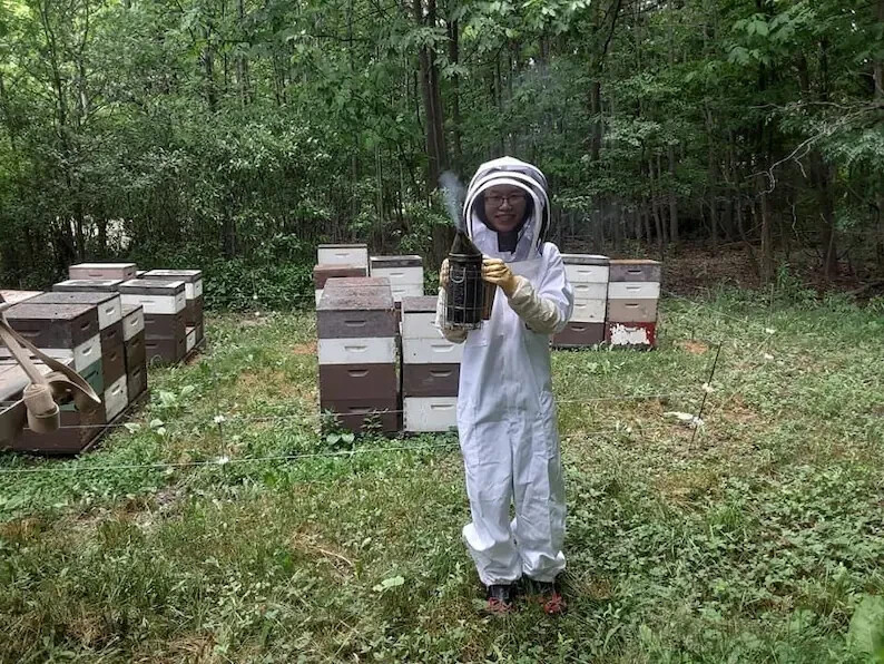 100% raw Bee propolis - natural high quality bee product - direct from beekeeper gallery
