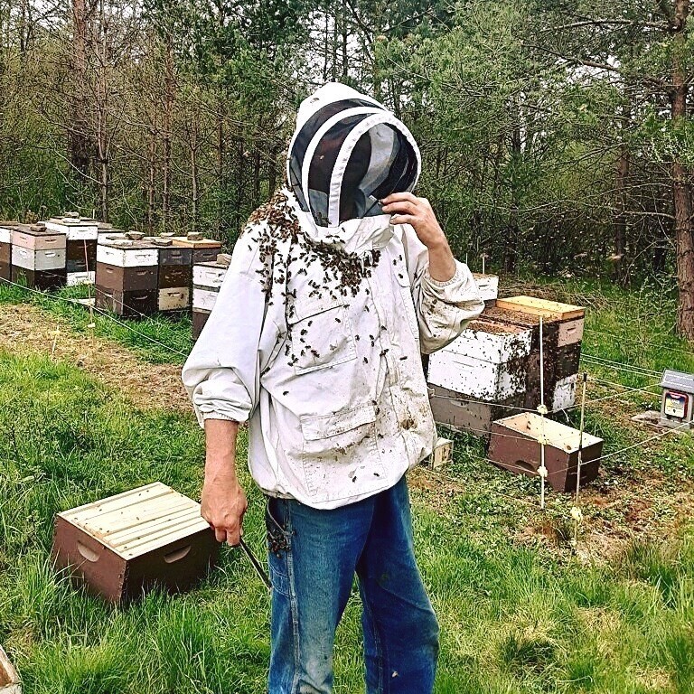 100% raw Bee propolis - natural high quality bee product - direct from beekeeper gallery