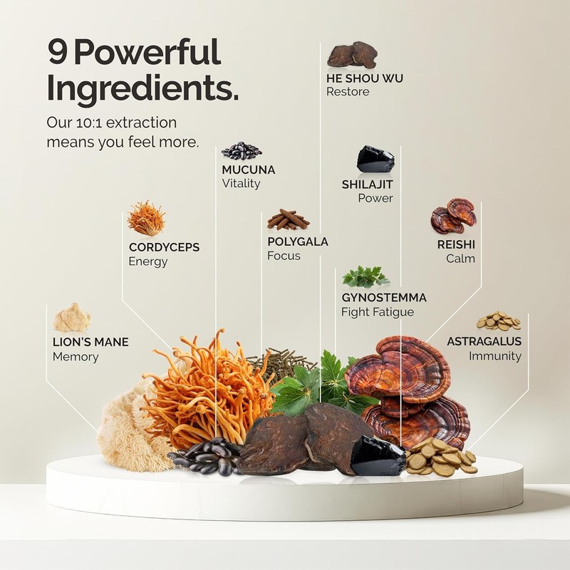 alcami elements Mushroom Coffee Creamer Superfood - Energy, Focus, Mood - 30 svg gallery
